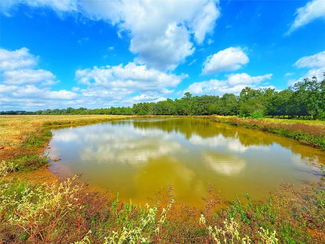 000 Fm 132, Crockett, TX 75835