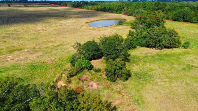 000 Fm 132, Crockett, TX 75835