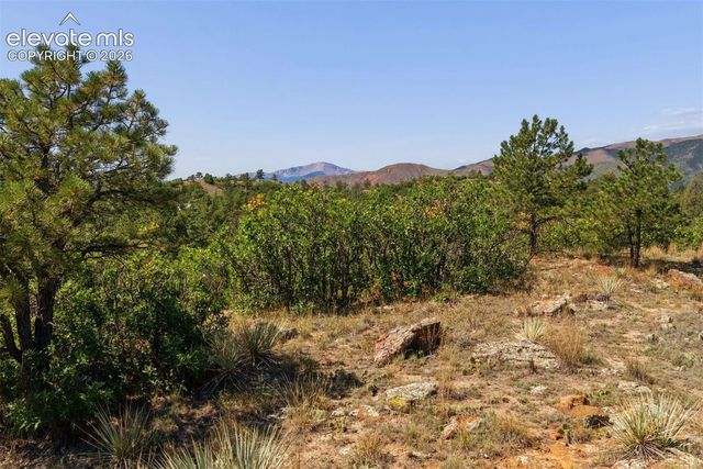 1015 Timber Valley Road, Colorado Springs, CO 80919