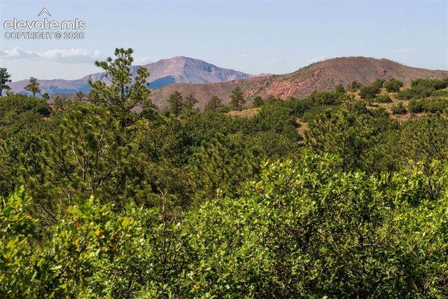 1015 Timber Valley Road, Colorado Springs, CO 80919
