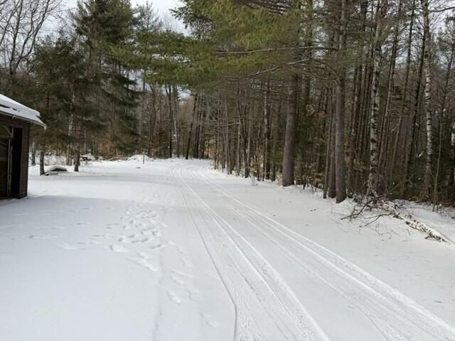 29 Brookside Way, Lewis, NY 12950