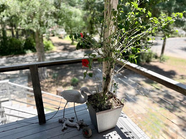 709 Old Waccamaw Dr., Pawleys Island, SC 29585