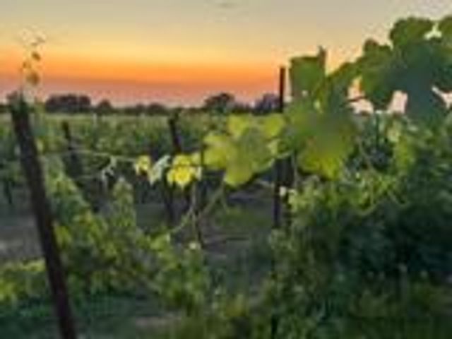 17266 Hillside Dr, Lodi, CA 95240