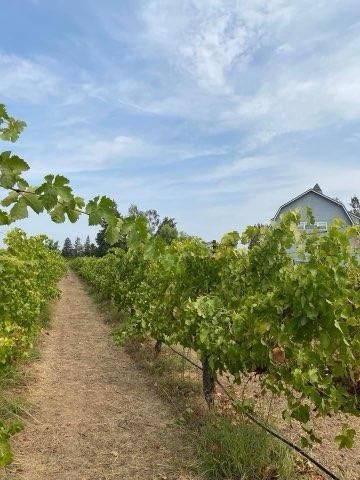 17266 Hillside Dr, Lodi, CA 95240