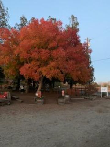 17266 Hillside Dr, Lodi, CA 95240