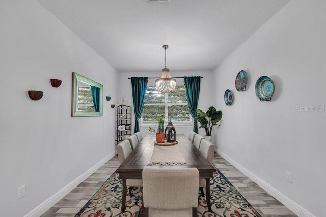 11505 CAMBIUM CROWN DRIVE, Riverview, FL 33569