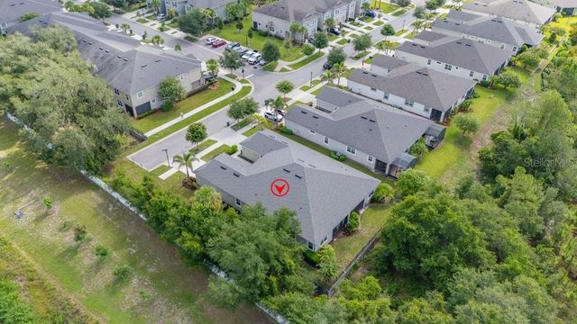11505 CAMBIUM CROWN DRIVE, Riverview, FL 33569