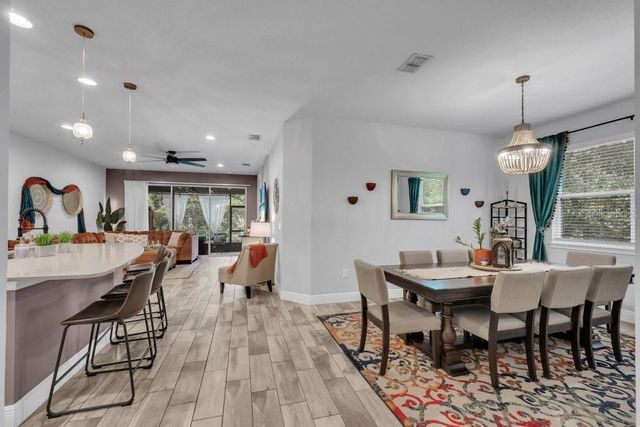 11505 CAMBIUM CROWN DRIVE, Riverview, FL 33569