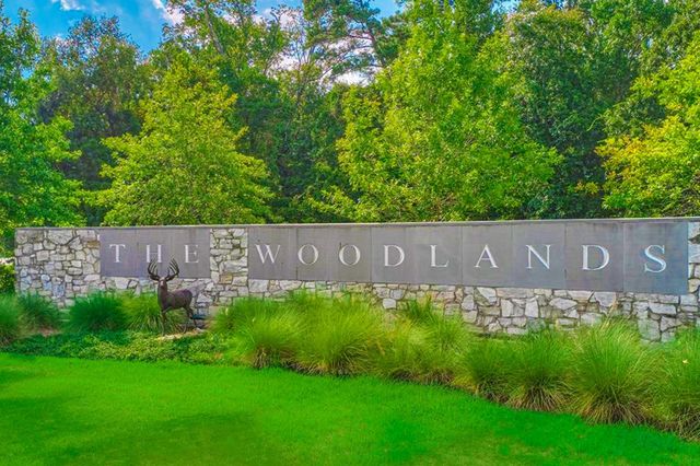 23 Frontera Circle, The Woodlands, TX 77382