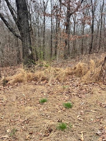 Sanquhar Lane, Bella Vista, AR 72715