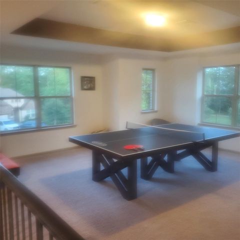 111 Dorado Sky Court, Conroe, TX 77318