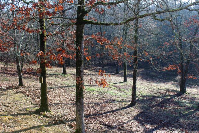 117 Big Mountain Road, Beebe, AR 72012