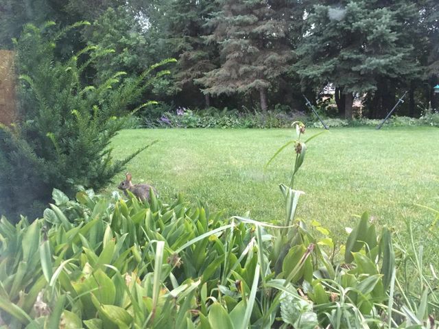 1830 Walnut Lane, Eagan, MN 55122