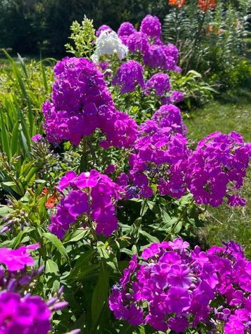 1830 Walnut Lane, Eagan, MN 55122