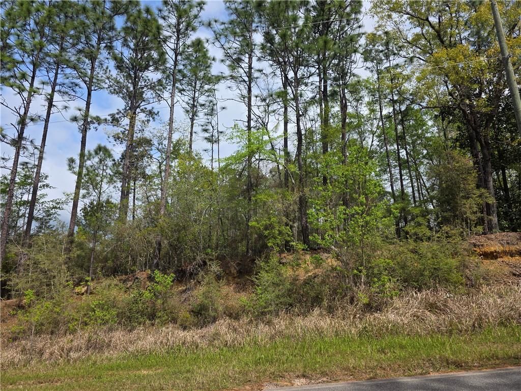 12287 Red Hill Road Extension, Bay Minette, AL 36507 — photo 2