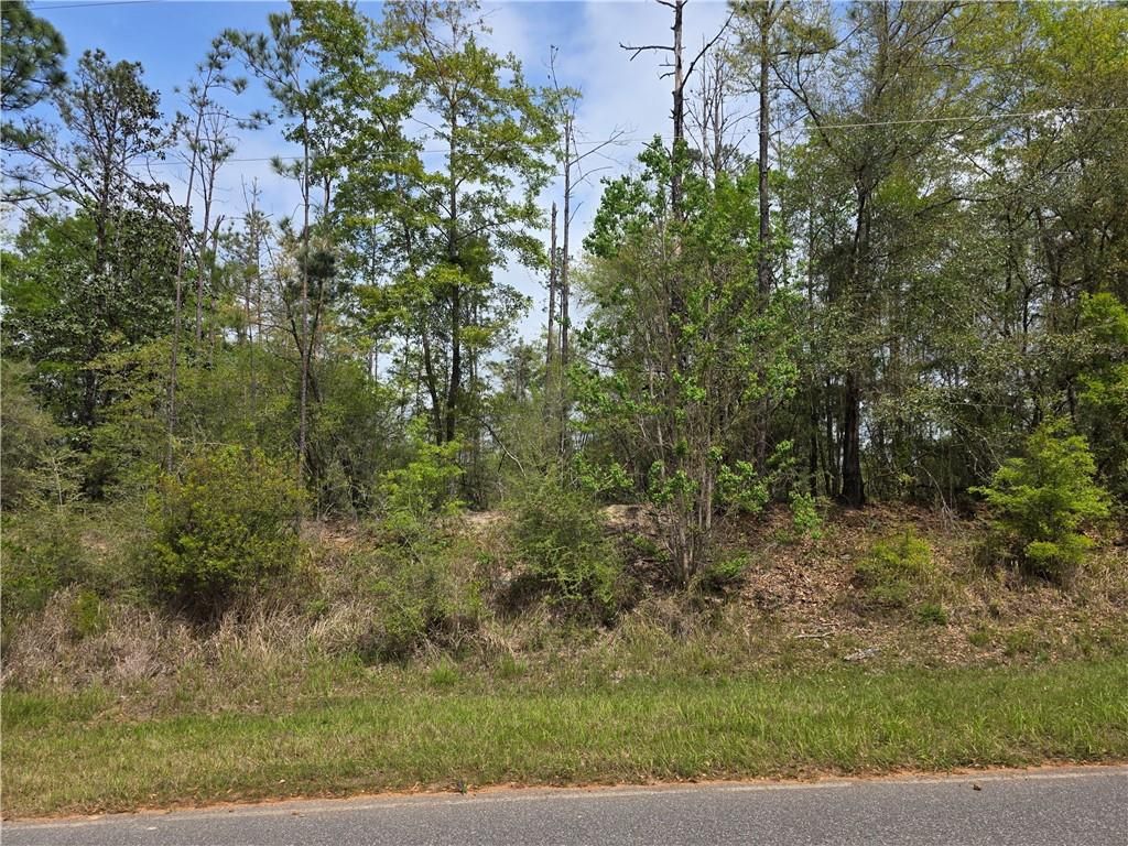 12287 Red Hill Road Extension, Bay Minette, AL 36507 — photo 5
