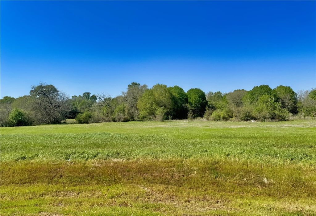 10283 Panther Creek Drive, Iola, TX 77861 — exterior