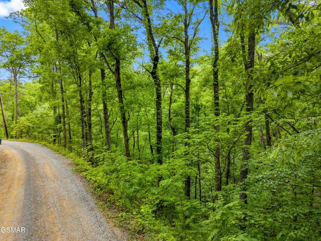 11 Red Bone Way, Sevierville, TN 37876