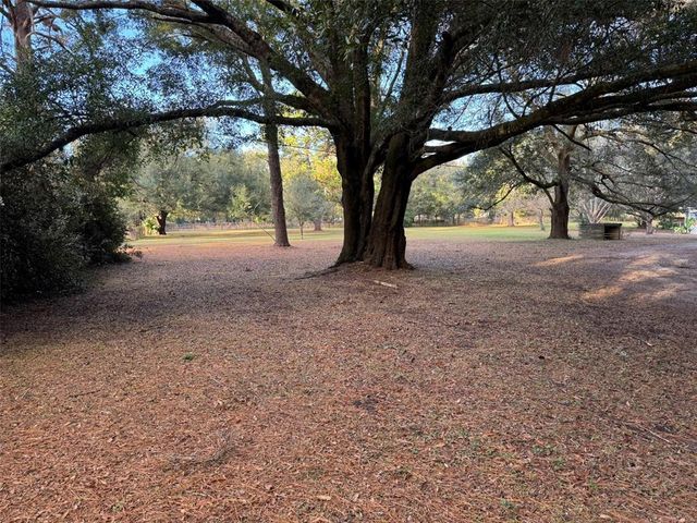 2357 & 000 W HIGHWAY 316, Citra, FL 32113