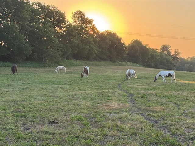 1701 Flint circle Circle, Van Alstyne, TX 75495