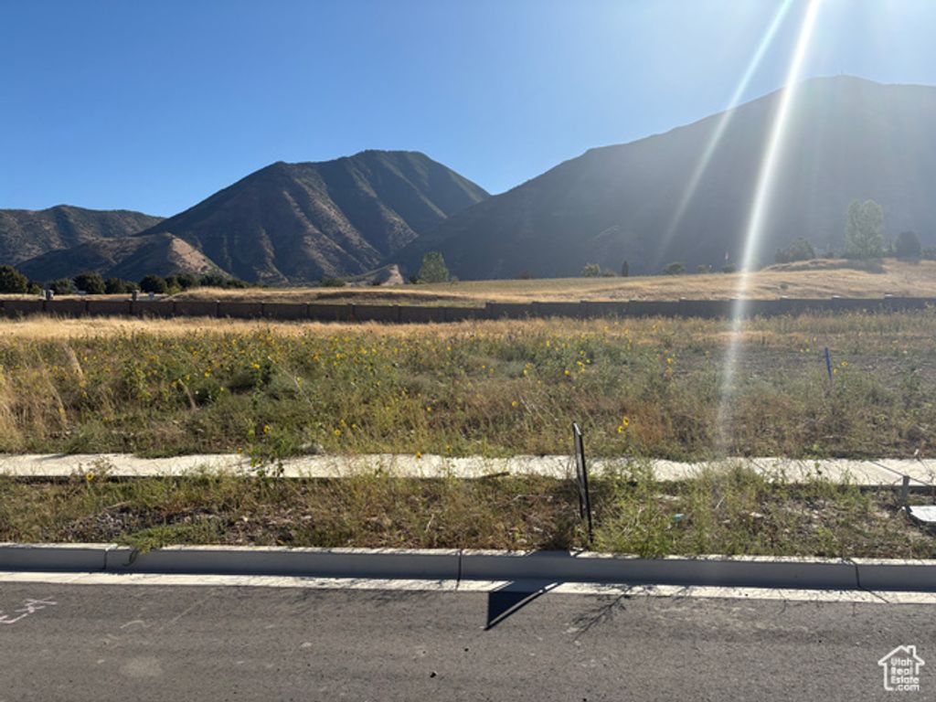 1549 S 920 E, Salem, UT 84653