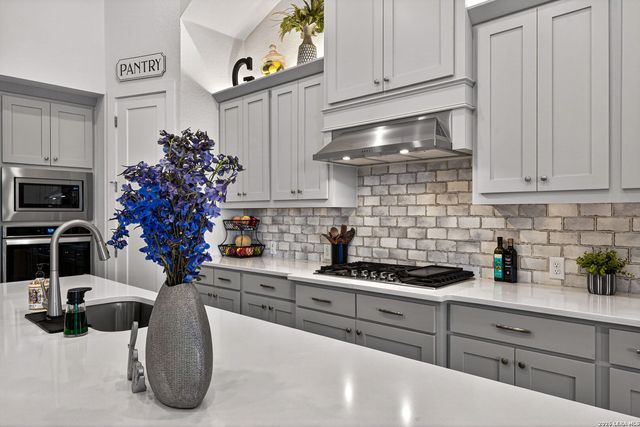 24723 Para Siempre, San Antonio, TX 78261