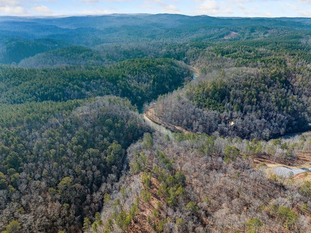 198 Blalock Mountain Court, Ellijay, GA 30540