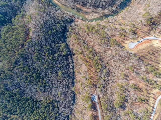 198 Blalock Mountain Court, Ellijay, GA 30540