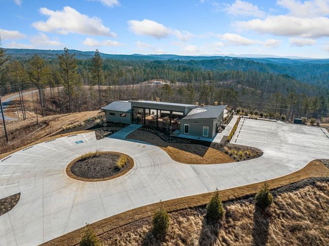 198 Blalock Mountain Court, Ellijay, GA 30540
