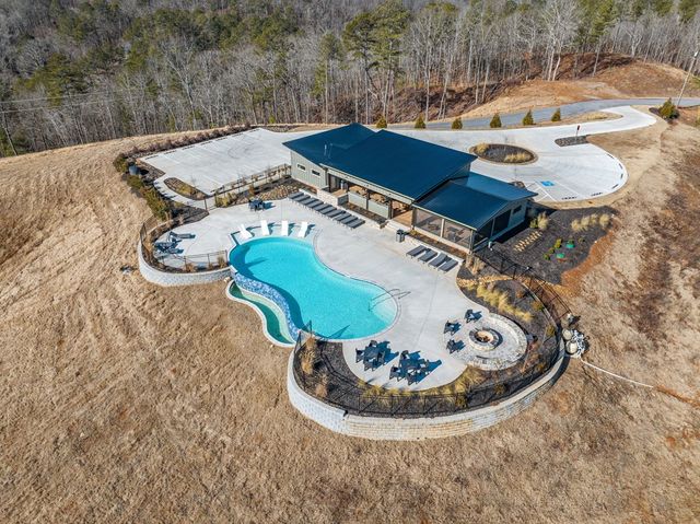 198 Blalock Mountain Court, Ellijay, GA 30540
