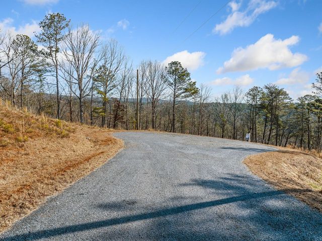 198 Blalock Mountain Court, Ellijay, GA 30540