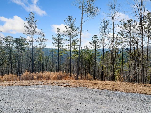 198 Blalock Mountain Court, Ellijay, GA 30540