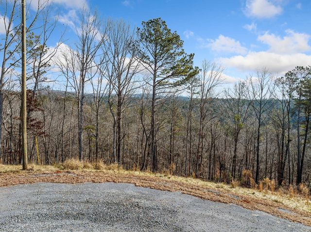 198 Blalock Mountain Court, Ellijay, GA 30540