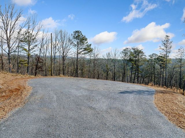 198 Blalock Mountain Court, Ellijay, GA 30540