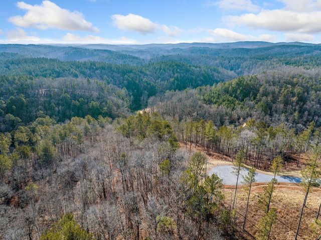 198 Blalock Mountain Court, Ellijay, GA 30540