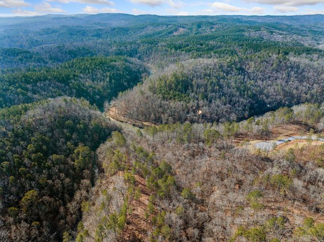 198 Blalock Mountain Court, Ellijay, GA 30540