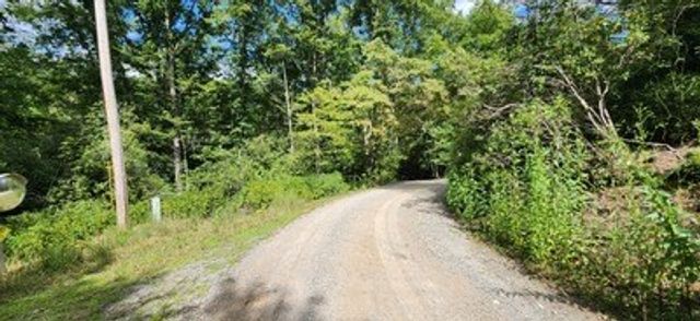 17, 18 Donna Lee Lane, Mineral Bluff, GA 30559