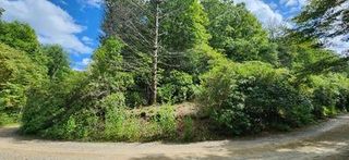 17, 18 Donna Lee Lane, Mineral Bluff, GA 30559