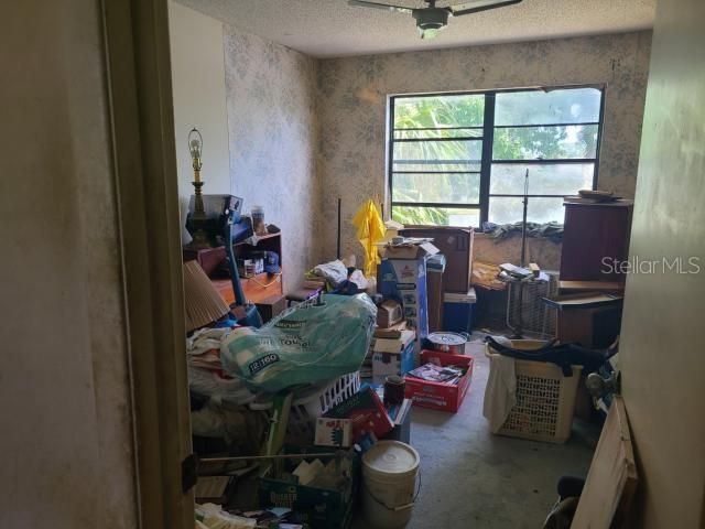 11033 SPRINGRIDGE DRIVE, Tampa, FL 33624
