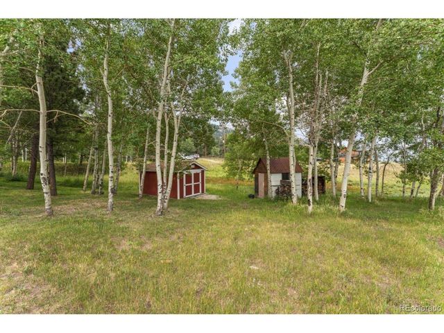 26292 Vosler St, Conifer, CO 80433