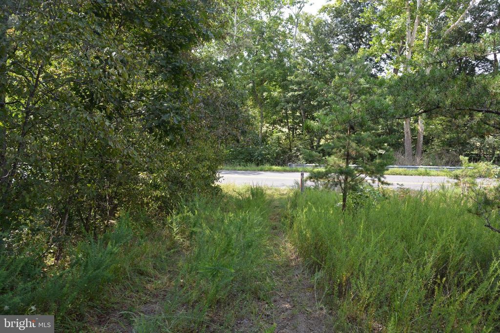BRUSH CREEK RD #30+ ACRES, Cross Junction, VA 22625