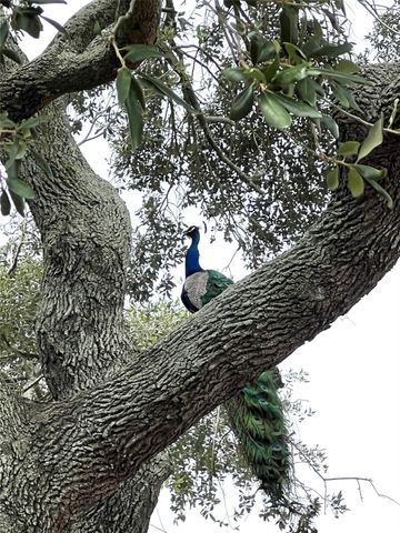 1518 Cr 307, El Campo, TX 77437