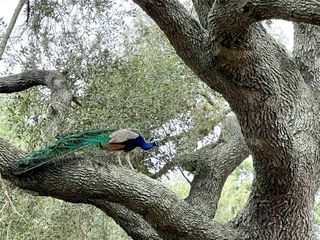 1518 Cr 307, El Campo, TX 77437