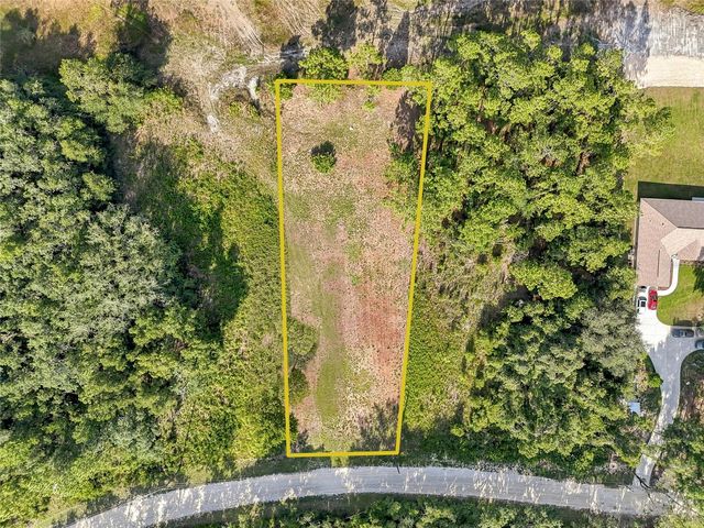 100 BERRYHILL DRIVE, Webster, FL 33597