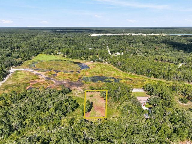 100 BERRYHILL DRIVE, Webster, FL 33597