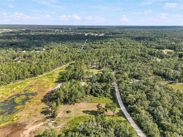 100 BERRYHILL DRIVE, Webster, FL 33597