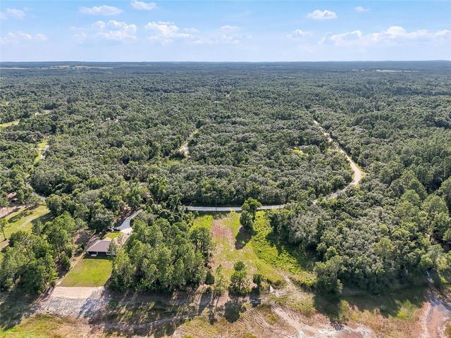 100 BERRYHILL DRIVE, Webster, FL 33597