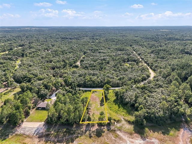 100 BERRYHILL DRIVE, Webster, FL 33597