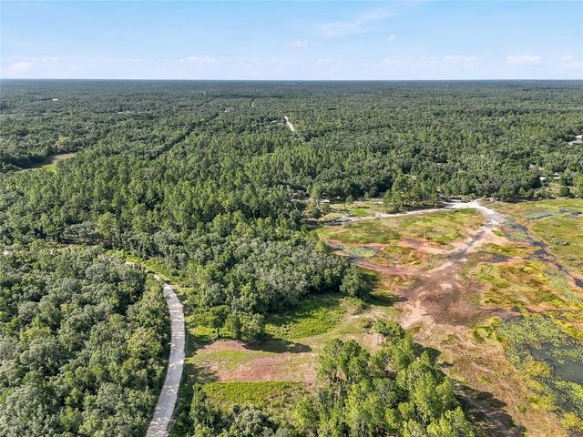 100 BERRYHILL DRIVE, Webster, FL 33597