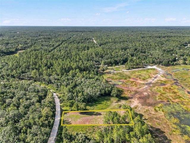 100 BERRYHILL DRIVE, Webster, FL 33597